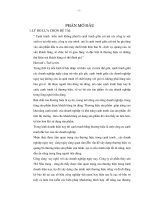 một số giải pháp nhằm hoàn thiện công tác quảng bá thương hiệu sản phẩm nước mắm tại công ty cổ phần thủy sản 584 nha trang