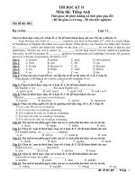 THI HỌC KỲ II Môn thi: Tiếng Anh - Mã đề thi: 801 ppt