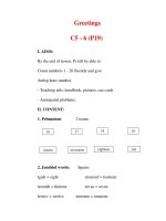 Giáo án Anh văn lớp 6 : Tên bài dạy : Greetings C5 - 6 (P19) docx