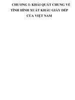CHƯƠNG I: KHÁI QUÁT CHUNG VỀ TÌNH HÌNH XUẤT KHẨU GIẦY DÉP CỦA VIỆT NAM _3 ppt