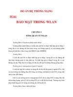 ĐỒ ÁN HỆ THỐNG MẠNG BẢO MẬT TRONG WLAN chương 1_2 potx