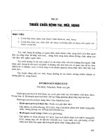 Bảo vệ tai mũi họng và phòng bệnh bằng thuốc pptx