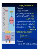 Bài giảng chuyển hóa các chất - Chuyển Hóa Lipid part 5 docx