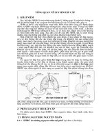Tài liệu Bài Giảng TỔNG QUAN VỀ SUY HÔ HẤP - khoa HSTC Bệnh Viện  E