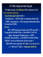 Bài giảng sinh hóa - Hóa sinh gan mật part 3 doc