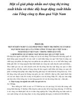 Một số giải pháp nhằn mở rộng thị trờng xuất khẩu và thúc đẩy hoạt động xuất khẩu của Tổng công ty Rau quả Việt Nam pdf