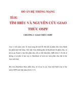 HỆ THỐNG MẠNG - TÌM HIỂU VÀ NGUYÊN CỨU GIAO THỨC OSPF CHƯƠNG 3_3 ppt