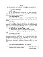 GIÁO ÁN LỊCH SỬ 10_Bài 1 pptx