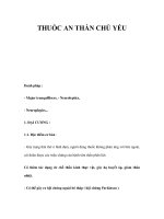 THUỐC AN THẦN CHỦ YẾU ppt