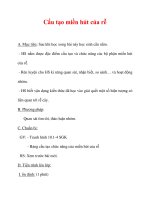 Giáo án Sinh học lớp 6 : Tên bài dạy : Cấu tạo miền hút của rễ docx