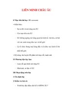 Giáo án Địa lý lớp 7 : Tên bài dạy : LIÊN MINH CHÂU ÂU pptx