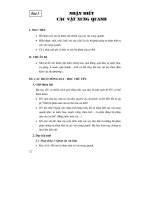 Thiết kế bài giảng tự nhiên xã hội 2 potx