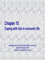 Chương 15 Đối phó với rủi ro trong đời sống kinh tế pps