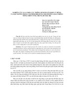 Báo cáo khoa học: 