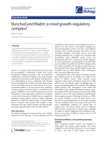 Báo cáo sinh học: 