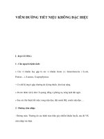 VIÊM ĐƯỜNG TIẾT NIỆU KHÔNG ĐẶC HIỆU docx
