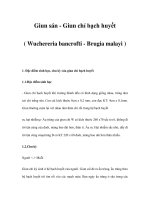 Giun sán - Giun chỉ bạch huyết( Wuchereria bancrofti - Brugia malayi ) pps