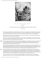 The Practice & Science Of Drawing phần 10 pot