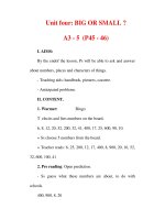 Giáo án Anh văn lớp 6 : Tên bài dạy : Unit four: BIG OR SMALL ? A3 - 5 (P45 - 46) ppt