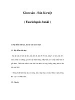 Giun sán - Sán lá ruột ( Fasciolopsis buski ) ppsx