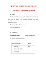 Giáo án Anh văn lớp 6 : Tên bài dạy : UNIT 11. WHAT DO YOU EAT? Lesson 6: Grammar practice doc