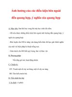 Giáo án Sinh học lớp 6 : Tên bài dạy : Ảnh hưởng của các điều kiện bên ngoài đến quang hợp, ý nghĩa của quang hợp docx