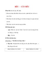 Giáo án Sinh học lớp 6 : Tên bài dạy : RÊU - CÂY RÊU doc