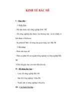 Giáo án ĐỊa lý lớp 7 : Tên bài dạy : KINH TẾ BẮC MĨ pps