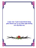 Luận văn: Cạnh tranh khách hàng giữa khách sạn và các Khu nghỉ dưỡng cao cấp hiện nay docx