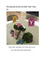 Tận dụng khúc gỗ thừa tạo thành 