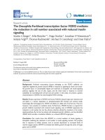 Báo cáo sinh học: 