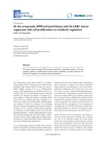 Báo cáo sinh học: 