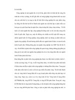 Định hướng cơ cấu công nghiệp hợp lý để công nghiệp hóa hoàn chỉnh doc