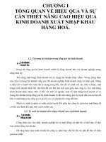 CHƯƠNG I TỔNG QUAN VỀ HIỆU QUẢ VÀ SỰ CẦN THIẾT NÂNG CAO HIỆU QUẢ KINH DOANH XUẤT NHẬP KHẨU HÀNG HOÁ._3 pot