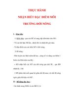 Giáo án ĐỊa lý lớp 7 : Tên bài dạy : THỰC HÀNH NHẬN BIẾT ĐẶC ĐIỂM MÔI TRƯỜNG ĐỚI NÓNG pot