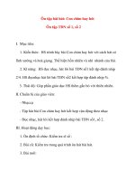 Giáo án lớp 5 môn Âm Nhạc: Ôn tập bài hát: Con chim hay hót pps