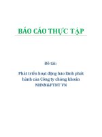 Đề tài: Phát triển hoạt động bảo lãnh phát hành của Công ty chứng khoán NHNN&PTNT VN pdf