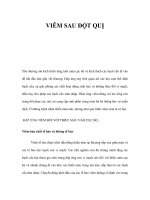 VIÊM SAU ĐỘT QUỊ ppt