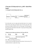 tổng quan về mạng truyền hình cáp hữu tuyến tại việt nam phần 1 pptx