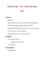 Giáo án Tiếng Việt lớp 3 : Tên bài dạy : Chính tả Nghe – viết : Người lính dũng cảm. potx