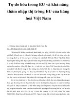 Tự do hóa trong EU và khả năng thâm nhập thị trờng EU của hàng hoá Việt Nam _6 pps