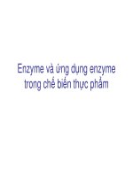 Enzyme và ứng dụng enzyme trong chế biến thực phẩm pptx