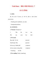 Giáo án Anh văn lớp 6 : Tên bài dạy : Unit four: BIG OR SMALL ? A1-2 (P44) ppsx