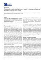 Báo cáo sinh học: 