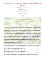 TƯỜNG TRÌNH CỦA MỘT QUÂN NHÂN ppt