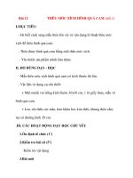 Giáo án lớp 7 môn Công Nghệ: Bài 12 THÊU MÓC XÍCH HÌNH QUẢ CAM (tiết 1) pdf