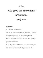 GIÁO ÁN LỊCH SỬ 7_TIẾT 8 pot