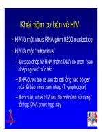 Bài giảng điều trị HIV : SINH BỆNH HỌC VÀ DIỄN BIẾN TỰ NHIÊN CỦA NHIỄM HIV part 2 ppsx
