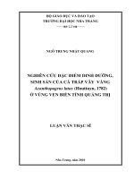 nghiên cứu đặc điểm dinh dưỡng, sinh sản của loài cá tráp vây vàng acanthopagrus latus (houttuyn, 1782) ở vùng ven biển tỉnh quảng trị