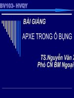 APXE TRONG Ổ BỤNG pptx